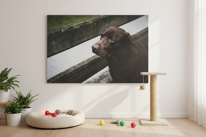 Custom Printed Canvas – Upload Your Own Design